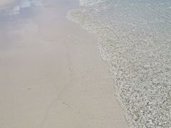 -白沙滩