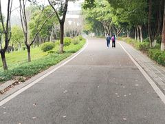 -重庆园博园