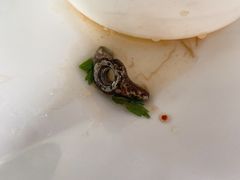 -食盈碗仔翅(星玺广场店)