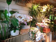-春暖花开(西溪店)