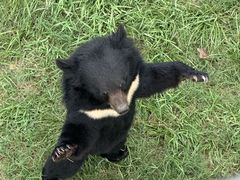 -合肥野生动物园