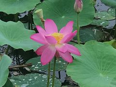 -天津东丽湖风景区
