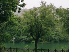 -白马涧龙池景区