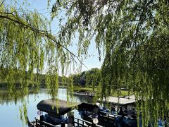 -养云安缦吧THE BAR