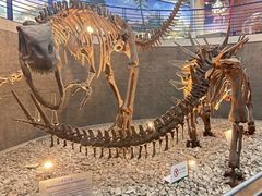 -国家自然博物馆