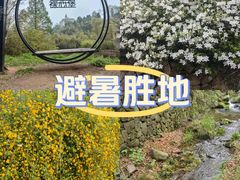 -莫干山风景区
