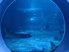 -常州海昌海洋探索馆