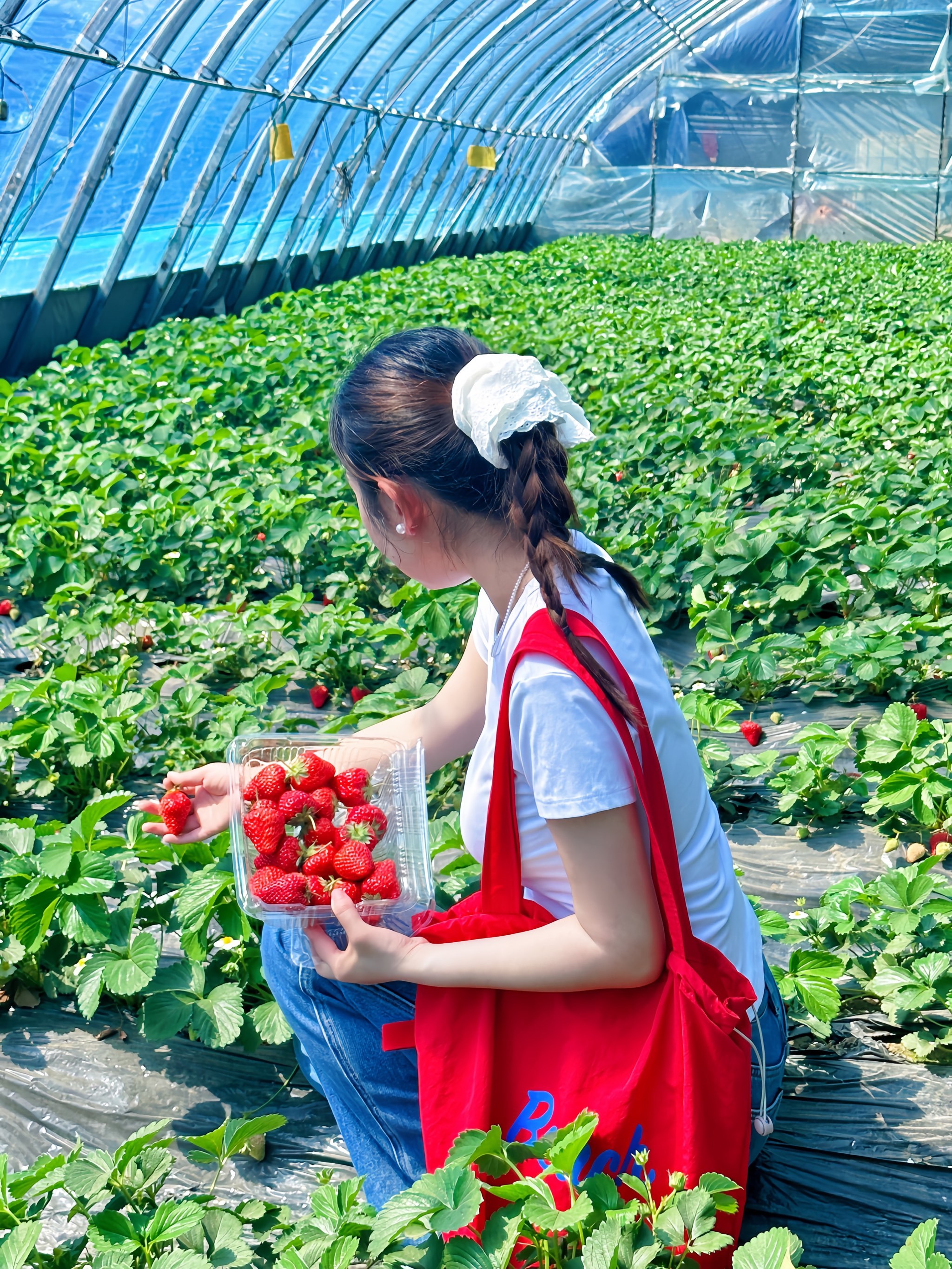 花溪谷🧺实现草莓自由啦🍓❗️