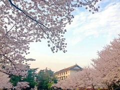 -武汉大学-樱园