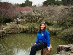 -香雪海