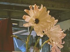 -Cooking Man(中懋天地店)