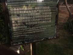 -丰顺宝丰酒店温泉