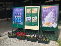 -富田农场