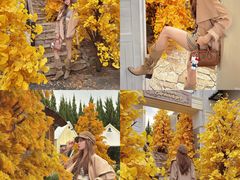 -Blue Concept Cafe&Farm·關於藍