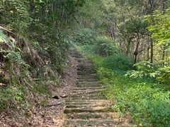 -南山植物园