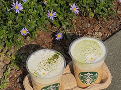 -星巴克臻选(成都太古里店)