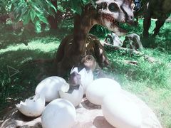 -西安秦岭野生动物园