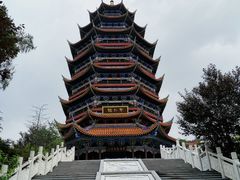 -铁山坪森林公园