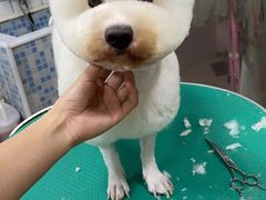 -联合动物医院(光谷诊疗中心)