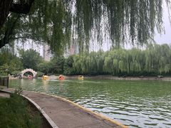 -团结湖公园