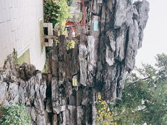 -顺峰山公园