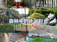-红山森林动物园