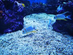 -成都浩海立方海洋公园