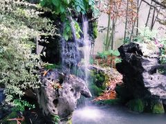 -上海醉白池公园