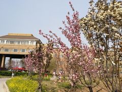 -古柏渡飞黄旅游区