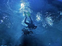 -芜湖新华联大白鲸海洋公园