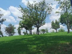-广富林郊野公园