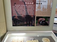 -延庆地质公园博物馆