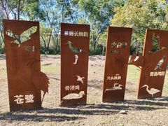 -绿堤公园