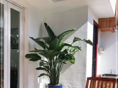-阿鹏故事云南野生菌火锅(人民路店)