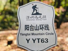 -阳台山森林公园