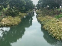 -莲花岛景区