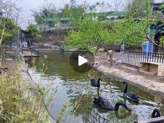-美心红酒小镇游乐园