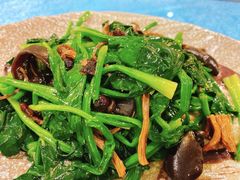 -新粤新疆菜(禅城店)