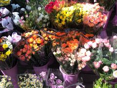 -宝鸡东道花鸟鱼虫市场(吉利花园商场店)