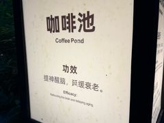 -融汇温泉