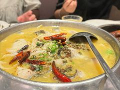 -Aqua Oasis 水天堂(石路天虹店)