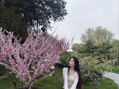 -钓鱼台国宾馆