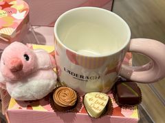 -Laderach 莱德拉(上海环贸iapm店)