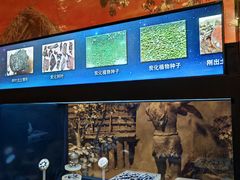 -河姆渡遗址博物馆