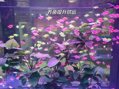 -青螺餐厅·家宴(松雅湖店)