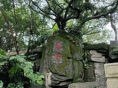 -船政文化景区-罗星塔公园