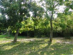 DSC08268-湖光岩风景区