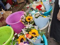 -循礼门鲜花花市(武汉循礼门店)