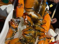 波斯顿龙虾-海煮叹鲜·粥底火锅·港式海鲜打边炉(赛银国际广场店)