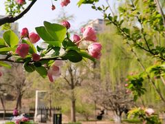 -元大都城垣遗址公园